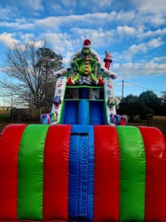 20251228 160036 1767036488 ❤️ Grinchmas ❤️